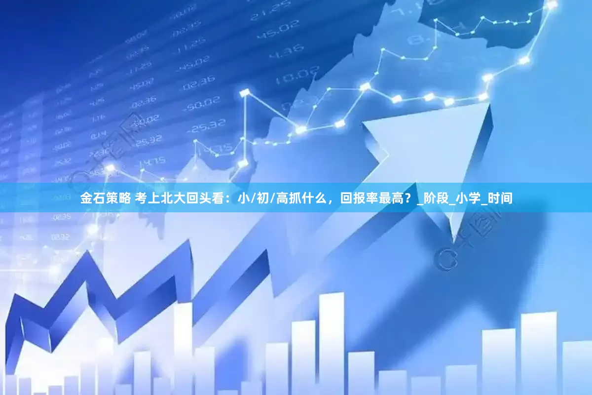 金石策略 考上北大回头看：小/初/高抓什么，回报率最高？_阶段_小学_时间