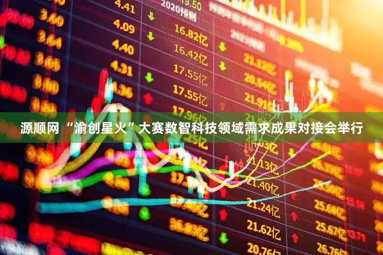 源顺网 “渝创星火”大赛数智科技领域需求成果对接会举行