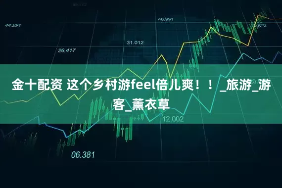 金十配资 这个乡村游feel倍儿爽！！_旅游_游客_薰衣草