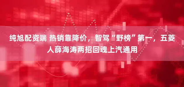纯旭配资端 热销靠降价，智驾“野榜”第一，五菱人薛海涛两招回魂上汽通用