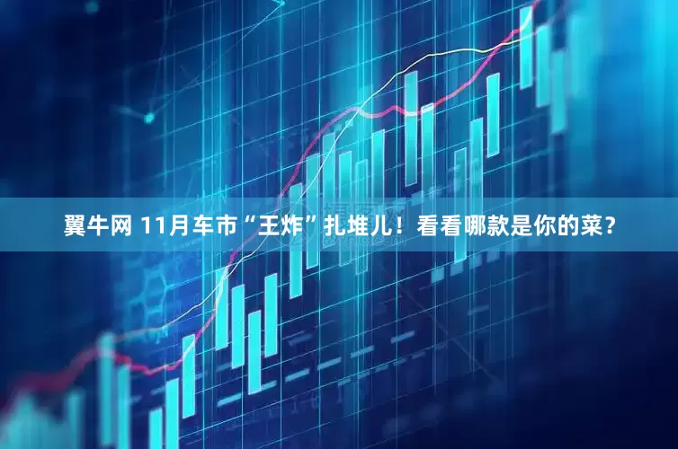 翼牛网 11月车市“王炸”扎堆儿！看看哪款是你的菜？