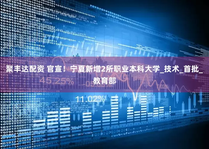 聚丰达配资 官宣！宁夏新增2所职业本科大学_技术_首批_教育部