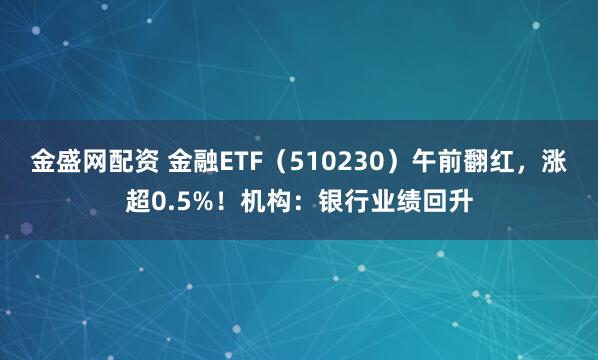 金盛网配资 金融ETF（510230）午前翻红，涨超0.5%！机构：银行业绩回升