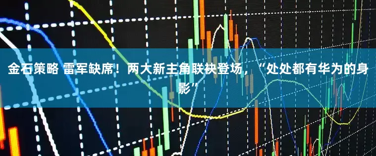 金石策略 雷军缺席！两大新主角联袂登场，“处处都有华为的身影”